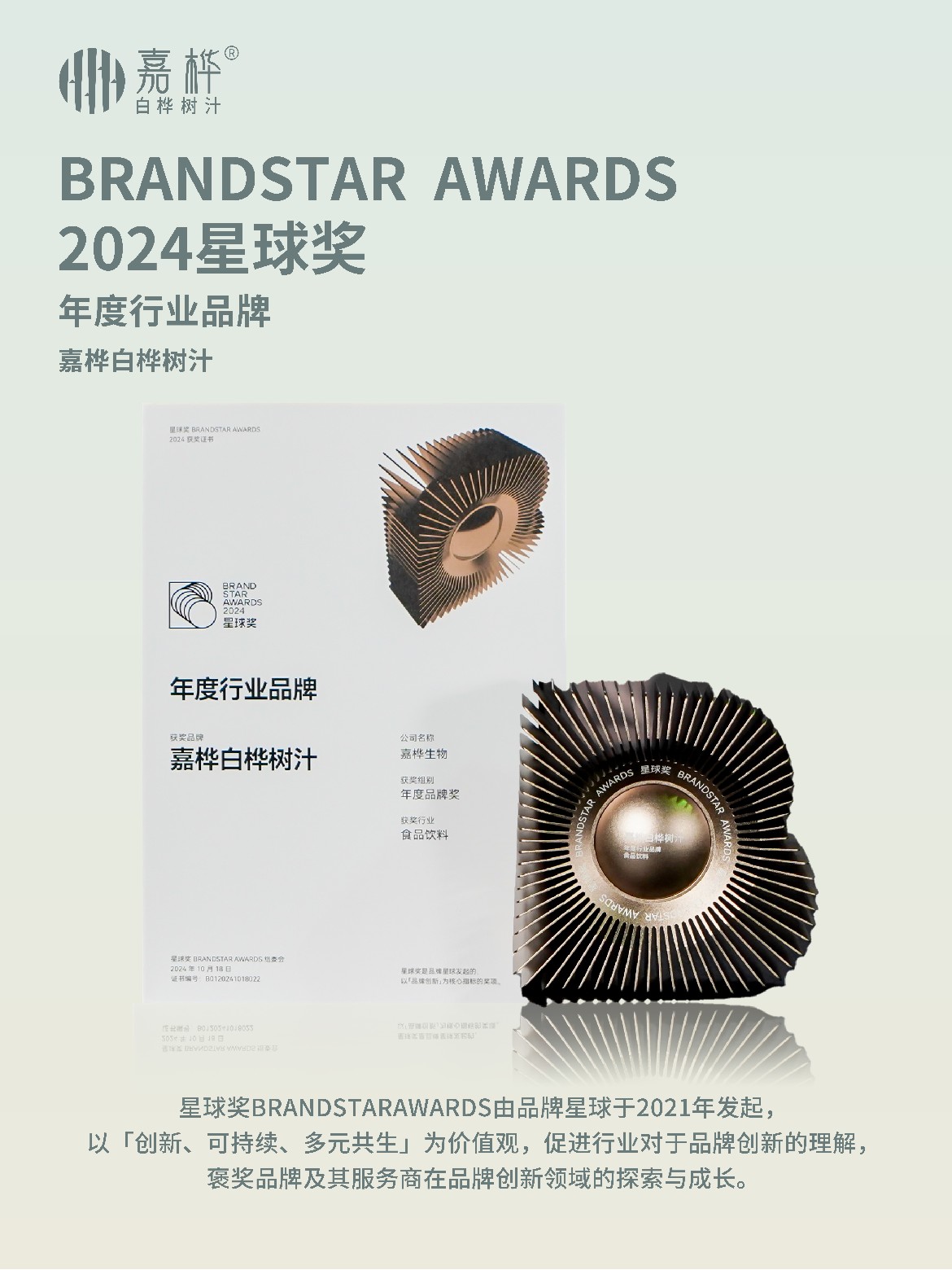 2024星球奖年度行业品牌