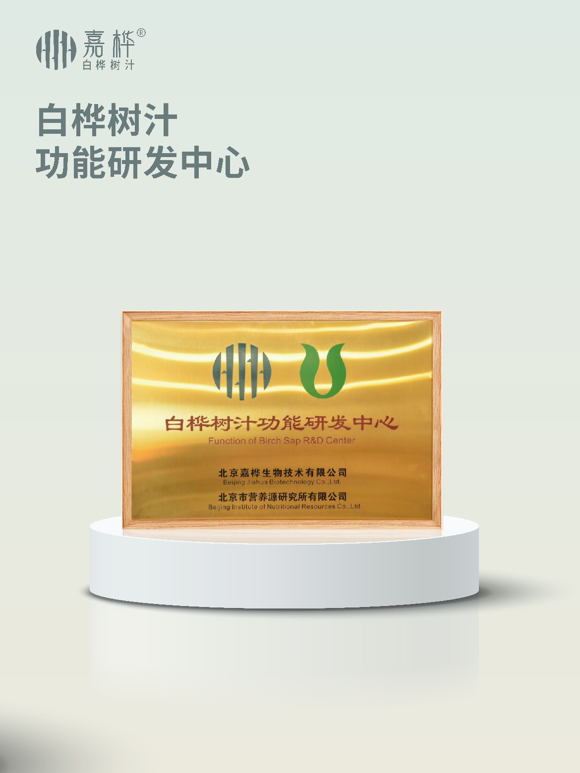 白桦树汁功能研发中心